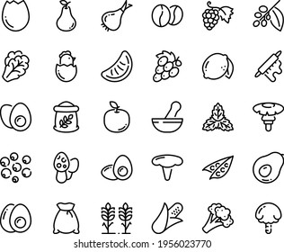 Food line icon set - grape, coffee tree, beans, rolling pin, broaken egg, eggs yolk, chick, flour bag, spikes, corn, peas, arugula, onion, broccoli, lemon, pear, apple fruit, slice of tangerine