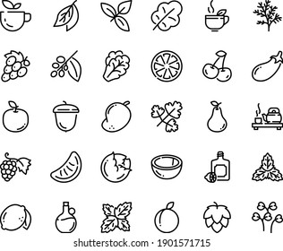 Food line icon set - green tea, ceremony, basil, lemoncello, olive oil, grape, acorn, coffee tree, hop, cabbage, arugula, eggplant, salad leaf, cherry, citrus, plum, lemon, coconut, pear, mango, bay