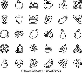 Food line icon set - green tea, ceremony, basil, lemoncello, olive oil, grape, acorn, coffee tree, hop, arugula, eggplant, cherry, citrus, plum, lemon, raspberry, pear, mango, apple fruit, pineapple