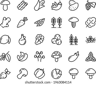 Food line icon set - hot pepper, olive oil, grape, coffee tree, spikes, wheat, potato, carrot, beet, corn, asparagus, peas, cabbage, arugula, mushroom, bell, eggplant, salad leaf, lemon, chili, mint