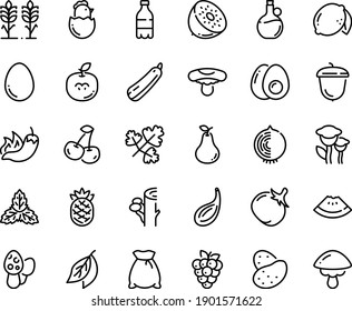 Food line icon set - milk bottle, watermelon piece, hot pepper, olive oil, acorn, egg, chick, eggs yolk, flour bag, spikes, potato, tomato, squash, cherry, lemon, raspberry, pear, kiwi, apple seeds