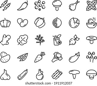 Food line icon set - octopus soup, olive oil, kebab, smoothies, potato, carrot, beet, asparagus, peas, cabbage, onion, broccoli, pepper, pumpkin, bell, eggplant, salad leaf, beans, squash, ginger