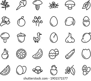 Food line icon set - olive oil, acorn, goose, coffee tree, egg, broaken, chick, easter, broccoli, squash, citrus, plum, lemon, melon, mango, slice of tangerine, cloves, garlic, vanilla, bay leaf