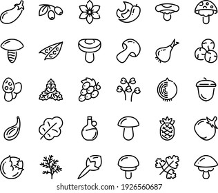 Symbol für die Lebensmittelkette - Oliven, Olivenöl, Eichel, Erbsen, Kohl, Zwiebeln, Pilze, Tomaten, Auberginen, Salatblätter, Trauben, Ananas, Chilischoten, Narrenanis, Minze, Kapern, Cardamon, Dill, Petersilie