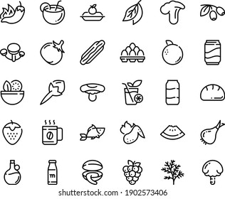 Food Line Icon Set - Salad, Watermelon Piece, Hot Dog, Pepper, Fish, Clam, Olives, Olive Oil, Charlotte Cake, Chicken Wing, Egg Pack, Soda, Milk Bottle, Coconut Cocktail, Coffee Cup, Smoothies, Dill