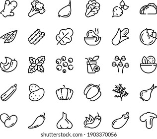 Food line icon set - salad, tacos, hot pepper, octopus soup, smoothies, potato, beet, corn, asparagus, peas, cabbage, arugula, onion, broccoli, pumpkin, bell, eggplant, leaf, beans, garlic, squash