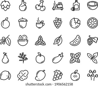 Food line icon set - salad, tea ceremony, green, basil, lemoncello, olive oil, grape, acorn, coffee tree, hop, cabbage, eggplant, leaf, cherry, citrus, plum, lemon, raspberry, coconut, pear, mango