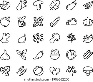 Food Line Icon Set - Salad, Tacos, Hot Pepper, Basil, Kebab, Smoothies, Corn, Asparagus, Peas, Cabbage, Mushroom, Pumpkin, Bell, Tomato, Eggplant, Leaf, Beans, Garlic, Squash, Chili, Ginger, Dill