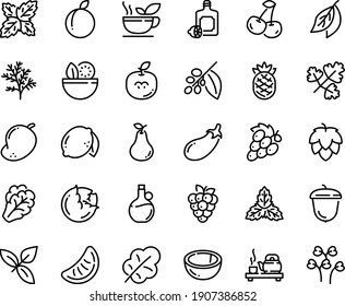 Food line icon set - salad, tea ceremony, basil, lemoncello, olive oil, acorn, coffee tree, green, hop, cabbage, arugula, eggplant, leaf, cherry, plum, lemon, raspberry, coconut, pear, grape, mango