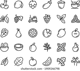 Food line icon set - salad, tea ceremony, basil, olive oil, grape, acorn, coffee tree, green, hop, cabbage, arugula, eggplant, leaf, cherry, citrus, plum, lemon, raspberry, coconut, pear, mango, bay