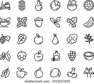 Food line icon set - salad, green tea, ceremony, basil, lemoncello, olive oil, grape, acorn, coffee tree, hop, cabbage, arugula, leaf, cherry, citrus, plum, lemon, raspberry, coconut, pear, seeds