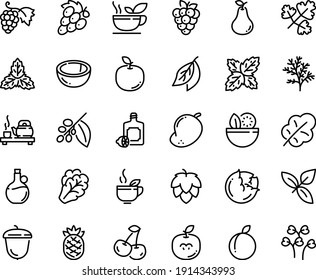Food line icon set - salad, tea ceremony, green, basil, lemoncello, olive oil, grape, acorn, coffee tree, hop, cabbage, arugula, leaf, cherry, plum, raspberry, coconut, pear, mango, apple fruit, bay