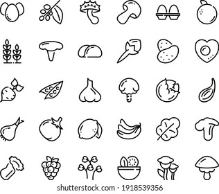 Food line icon set - salad, coffee tree, egg stand, eggs, love, tacos bread, wheat, potato, beet, peas, cabbage, onion, mushroom, tomato, leaf, banana, lemon, raspberry, orange, cloves, garlic, cep