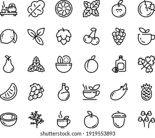 Food line icon set - salad, green tea, ceremony, basil, lemoncello, olive oil, acorn, hop, cabbage, eggplant, leaf, cherry, citrus, plum, lemon, raspberry, coconut, pear, grape, apple fruit, seeds