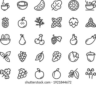 Food line icon set - salad, green tea, basil, olive oil, grape, acorn, coffee tree, hop, cabbage, arugula, eggplant, leaf, cherry, citrus, plum, raspberry, coconut, pear, apple fruit, seeds, mint