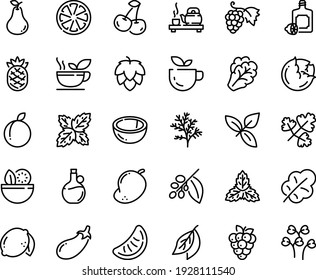 Food Line Icon Set - Salad, Green Tea, Ceremony, Basil, Lemoncello, Olive Oil, Grape, Coffee Tree, Hop, Cabbage, Arugula, Eggplant, Leaf, Cherry, Citrus, Plum, Lemon, Raspberry, Coconut, Pear, Mango