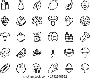 Food line icon set - salad, spike, omelette, milk bootle and pack, egg stand, eggs yolk, smoothies, wheat, corn, leaf, citrus, strawberry, raspberry, coconut, pear, melon, mango, apple fruit, bay