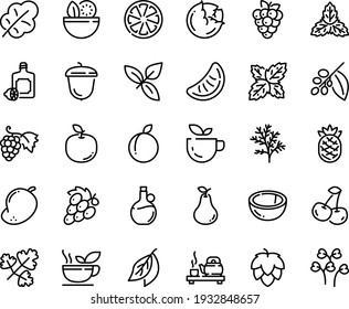 Food Line Icon Set - Salad, Green Tea, Ceremony, Basil, Lemoncello, Olive Oil, Grape, Acorn, Coffee Tree, Hop, Cabbage, Leaf, Cherry, Citrus, Plum, Raspberry, Coconut, Pear, Mango, Apple Fruit, Mint