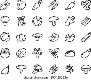 Food line icon set - salad, tacos, hot pepper, kebab, basil, smoothies, potato, carrot, beet, corn, asparagus, cabbage, broccoli, pumpkin, bell, eggplant, leaf, garlic, squash, chili, dill, parsley