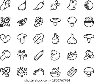 Food Line Icon Set - Salad, Tacos, Hot Pepper, Octopus Soup, Olive Oil, Potato, Beet, Corn, Asparagus, Peas, Arugula, Mushroom, Broccoli, Leaf, Beans, Garlic, Squash, Ginger, Onion, Basil, Black