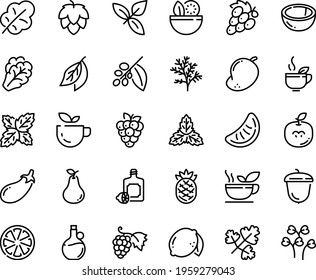 Food line icon set - salad, green tea, basil, lemoncello, olive oil, grape, acorn, coffee tree, hop, arugula, eggplant, leaf, citrus, lemon, raspberry, coconut, pear, mango, slice of tangerine, mint