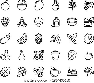 Food line icon set - salad, green tea, ceremony, basil, lemoncello, olive oil, grape, acorn, coffee tree, hop, cabbage, arugula, eggplant, leaf, cherry, plum, raspberry, coconut, pear, mango, mint