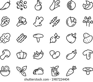 Food line icon set - salad, tacos, hot pepper, basil, olive oil, kebab, smoothies, potato, carrot, beet, corn, asparagus, cabbage, arugula, mushroom, broccoli, pumpkin, tomato, eggplant, leaf, beans