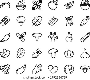 Food Line Icon Set - Salad, Tacos, Octopus Soup, Kebab, Basil, Olive Oil, Smoothies, Carrot, Beet, Corn, Asparagus, Peas, Cabbage, Arugula, Pepper, Pumpkin, Tomato, Eggplant, Leaf, Beans, Squash