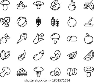 Food line icon set - spike, olive oil, omelette, julienne, butter knife, coffee tree, beans, egg pack, yolk, tacos bread, wheat, beet, corn, peas, mushroom, bell pepper, eggplant, melon, orange