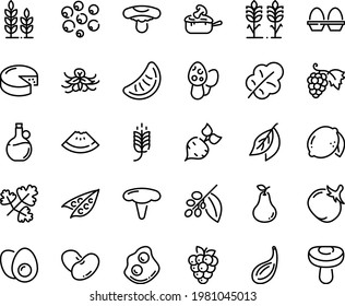 Food line icon set - spike, watermelon piece, olive oil, grape, omelette, cheese, julienne, coffee tree, egg stand, eggs yolk, spikes, wheat, beet, peas, tomato, salad leaf, beans, lemon, raspberry
