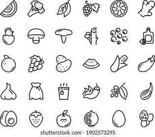 Food line icon set - watermelon piece, hot pepper, tea, lemoncello, grape, coffee tree, egg, chick, eggs yolk, flour bag, potato, corn, broccoli, eggplant, citrus, strawberry, melon, orange, ginger