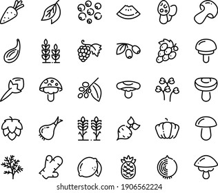 Symbol für die Lebensmittelkette - Wassermelonenstück, Oliven, Trauben, Kaffeebaum, Stacheln, Hopfen, Weizen, Zuckerrüben, Zwiebeln, Pilze, Kürbis, Zitrone, Ananas, Gewürze, Ingwer, Lorbeerblätter, Cardamon, Dill, Kress, Pep