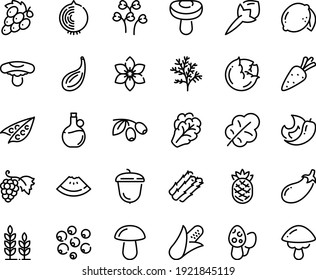 Food line icon set - watermelon piece, olives, olive oil, grape, acorn, wheat, carrot, corn, asparagus, peas, cabbage, arugula, eggplant, salad leaf, lemon, pineapple, chili pepper, cloves, onion