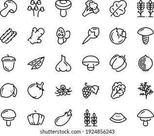 Food line icon set - watermelon piece, grape, acorn, spikes, wheat, asparagus, peas, cabbage, arugula, mushroom, broccoli, pumpkin, bell pepper, tomato, eggplant, salad leaf, lemon, cloves, ginger