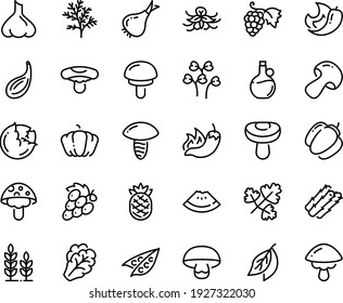 Food line icon set - watermelon piece, hot pepper, olive oil, grape, wheat, asparagus, peas, cabbage, arugula, onion, mushroom, pumpkin, bell, pineapple, chili, garlic, vanilla, bay leaf, cardamon