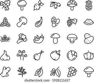 Food line icon set - watermelon piece, hot pepper, olives, grape, coffee tree, potato, beet, cabbage, onion, mushroom, broccoli, pumpkin, tomato, pineapple, ginger, garlic, mint, vanilla, bay leaf