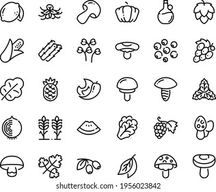 Symbol für die Lebensmittelkette - Wassermelonenstück, Oliven, Olivenöl, Trauben, Spikes, Hopfen, Mais, Spargel, Arugula, Pilze, Kürbis, Salatblatt, Zitrone, Ananas, Chilischoten, Zwiebeln, Minze, Vanille, Bucht