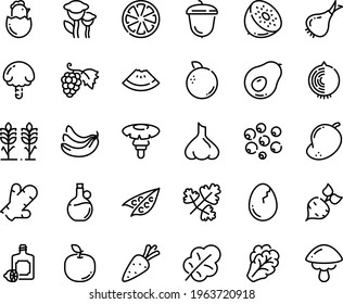 Food line icon set - watermelon piece, lemoncello, olive oil, grape, acorn, broaken egg, chick, spikes, carrot, beet, peas, arugula, onion, salad leaf, banana, citrus, orange, mango, kiwi, avocado