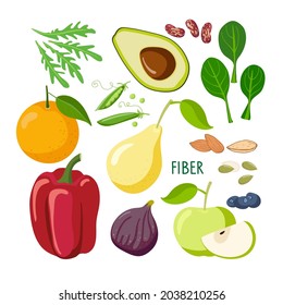 Food macronutrients. Rich in fiber food set. High fiber food for healthy nutrition and diet isolated on white background. Fruits, vegetables, nuts, greens. Nutrient complex diet vector infographic.