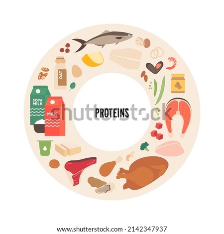 Food and meal ingredients vector flat illustration set. Protein sources food plate infographic circle frame with label. Colorful food and meal icon set meat, seafood, vegetables and dairy products.