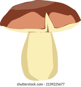 food from mediterranean cuisine, with a variety of mushrooms