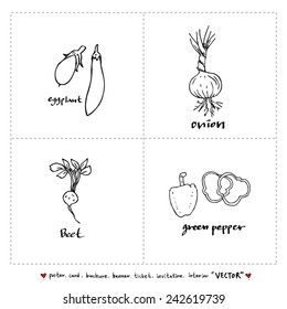 food menu illustrations / Set of food ingredients -vector illustrations