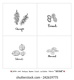 food menu illustrations / Set of food ingredients -vector illustrations