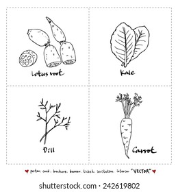 food menu illustrations / Set of food ingredients -vector illustrations