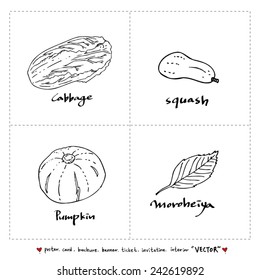 food menu illustrations / Set of food ingredients -vector illustrations