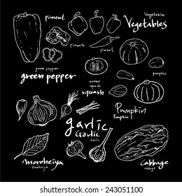 food menu illustrations / Set of food ingredients - vector illustrations