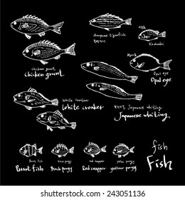 food menu illustrations / Set of food ingredients - vector illustrations