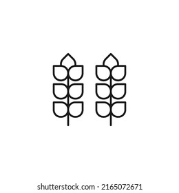 Food and nutrition concept. Minimalistic monochrome illustration drawn with black thin line. Editable stroke Vector icon of wheat or other cereal crops 