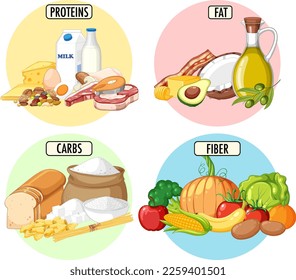 Food nutrition groups set illustration