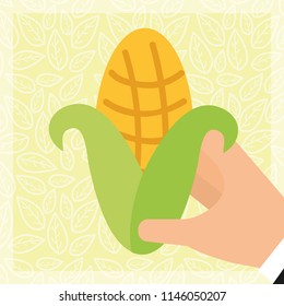 food organic nature